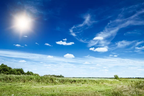 Fundo de verão — Fotografia de Stock