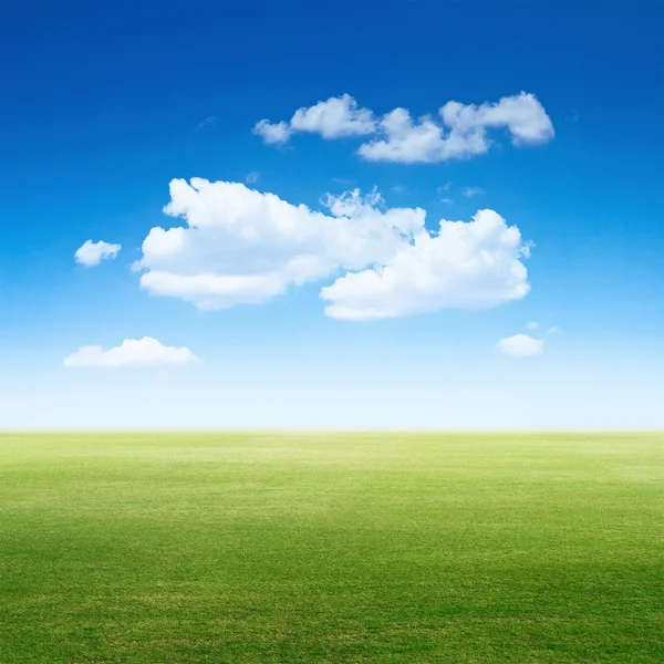 Sky a jasné trávy — Stock fotografie