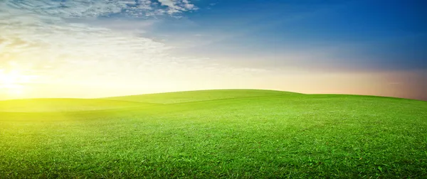 Pradera panorámica Imágenes de stock libres de derechos