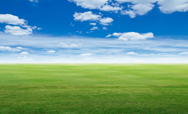 Panoramic field landscape