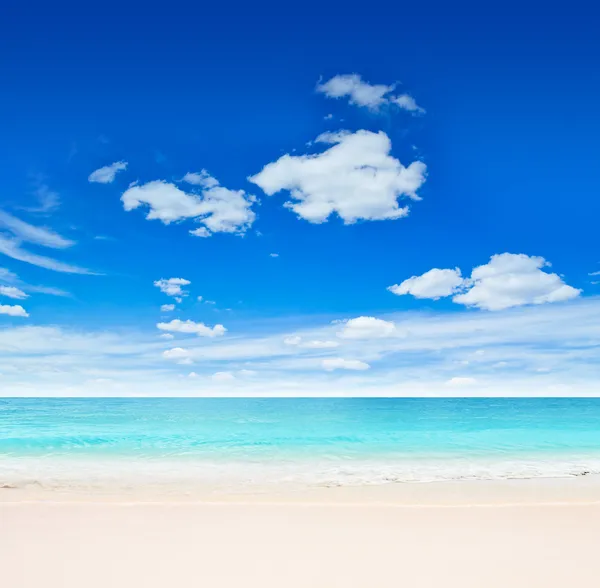 Tropical beach — Stock Photo, Image