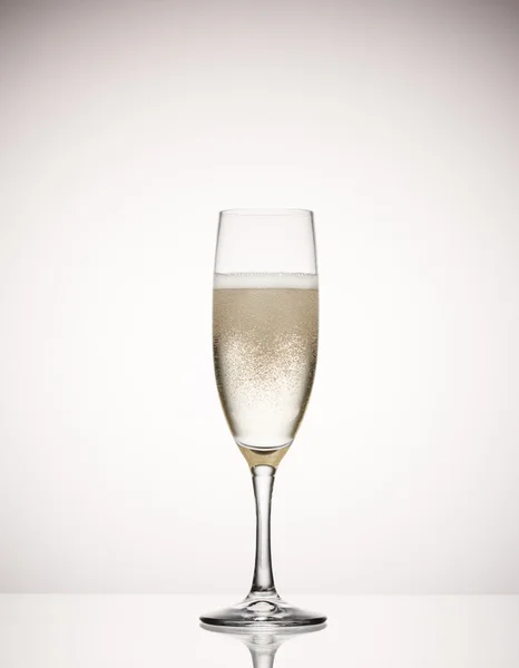 Champagnerglas — Stockfoto