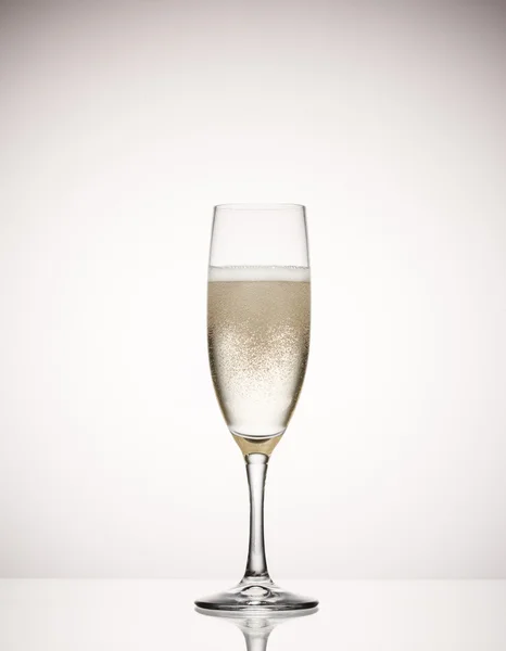 Champagne glass Stock Photo