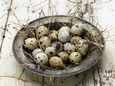 bıldırcın yumurtası