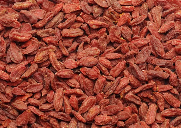 Dried goji — Stock Photo, Image