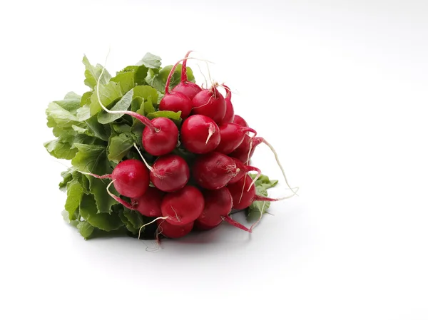 Ripe radish — Stock Photo, Image