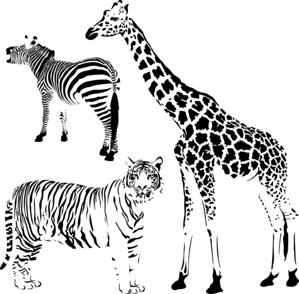 Animales africanos rayados y manchados Ilustraciones de stock libres de derechos