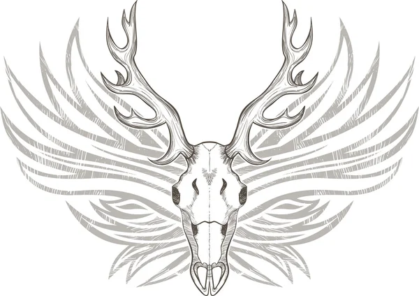 Deer skull with horns — Stock Vector