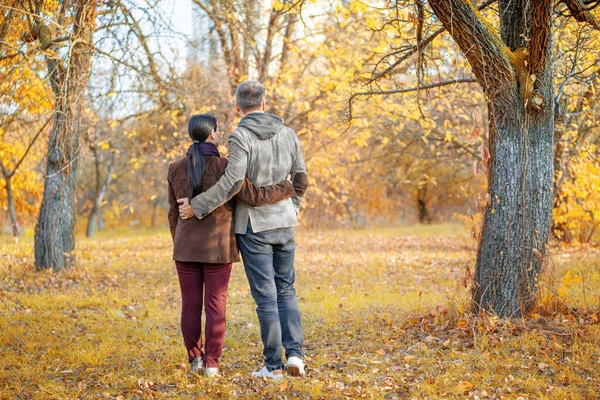 Niza par admira la asombrosa naturaleza caída alrededor. Pareja divirtiéndose unos a otros y el buen tiempo afuera. De pie detrás de la cámara. Fondo de otoño. Longitud completa —  Fotos de Stock