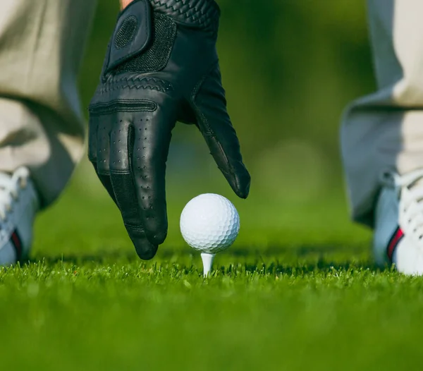 Hand in einen schwarzen Lederhandschuh und platziert einen Golfball auf einem hölzernen Tee in der Mitte eines Golfplatzes. Golfball auf Tee bereit zum Abschlag. Nahaufnahme — Stockfoto