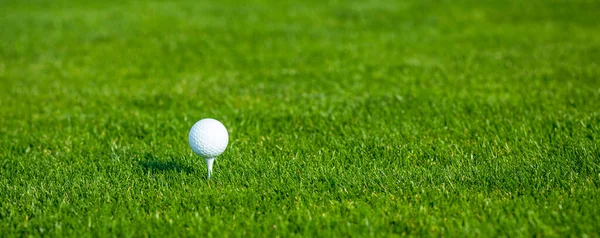 Bola de golfe em um T em grama baixa em um campo de golfe em um dia ensolarado. Espaço Copiar. Close-up — Fotografia de Stock