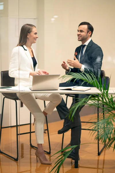 Бізнес-люди, жінки і чоловіки проводять гарну бесіду біля столу в Ковзантному просторі. Робота, відносини, обговорення, прийняття рішень, презентація. Вид через скляну стіну. Особисто. — стокове фото
