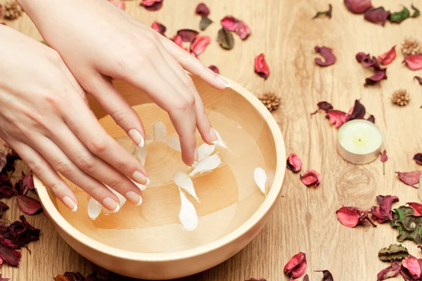 Spa for hands — Stock Photo, Image