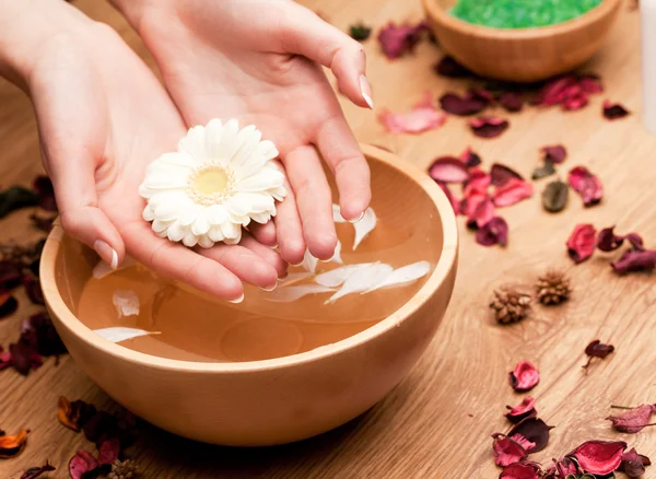 Spa.Manos de mujer con flor — Foto de Stock