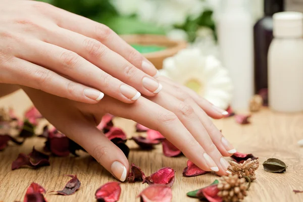 Spa hands — Stock Photo, Image