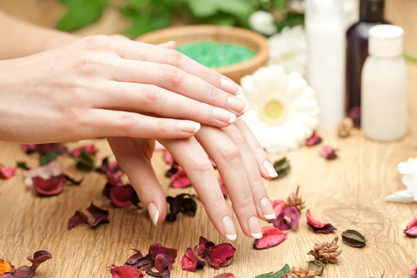 Spa hands — Stock Photo, Image