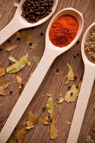 Spices on spoons — Stock Photo, Image