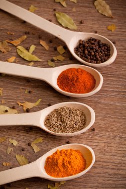 Spices on spoons clipart