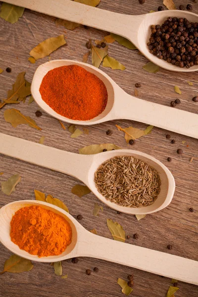 Spices in the spooins — Stock Photo, Image