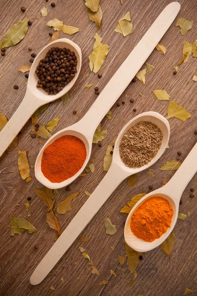 Spices in the spooins — Stock Photo, Image