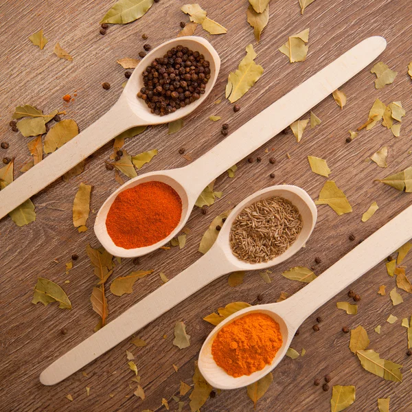 Spices in the spooins — Stock Photo, Image