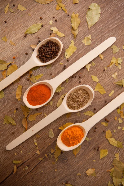 Spices in the spooins — Stock Photo, Image