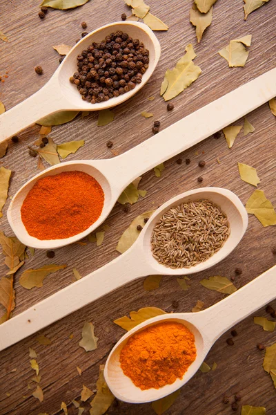 Spices - pepper, curry, chilli, caraway — Stock Photo, Image