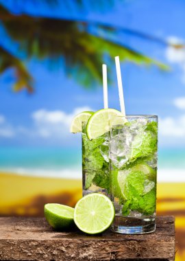 iki mojito kokteyl bardak