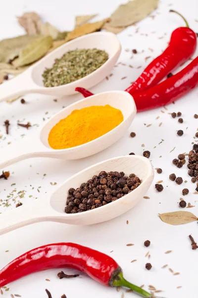 Peperoni rossi e altri tipi di spezie in cucchiai — Foto Stock