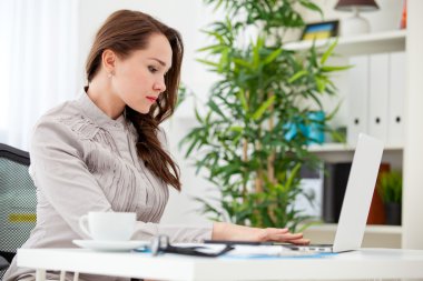 dizüstü bilgisayar kullanan kadın