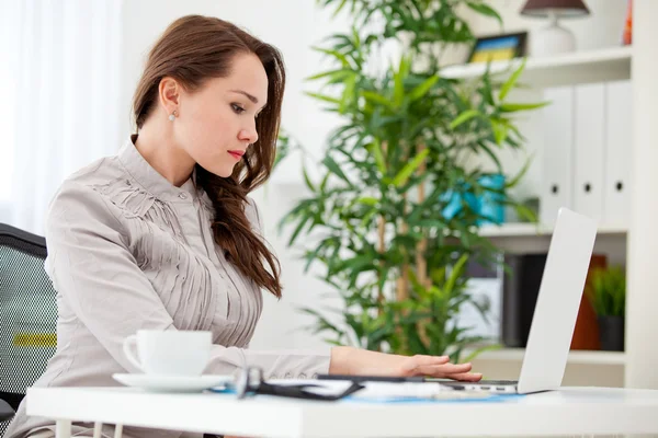 Woman useing laptop — Stock Photo, Image