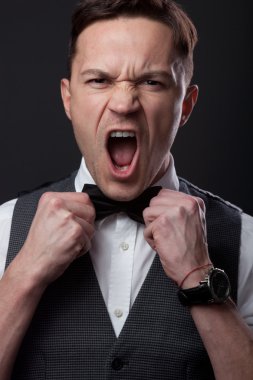 australiska norra sammet gecko (oedura castelnaui) isolerad på vit bakgrund