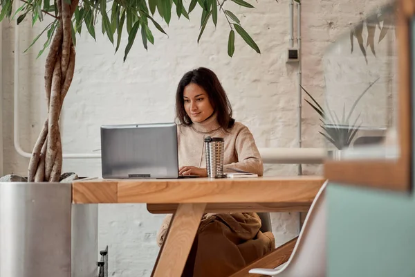 Freelancer feminino usando laptop no local de trabalho — Fotografia de Stock