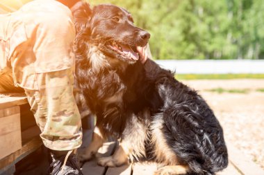 Siyah köpeğin yaz günü arka planda bulanık duran bir adamın yanına ve ayaklarına baktığı fotoğraf.