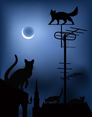 сats on the roofs in the night sky clipart