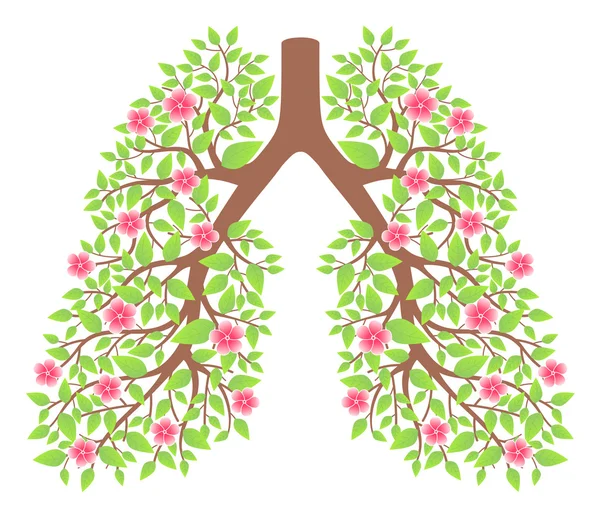 Lungs healthy — Stock Vector