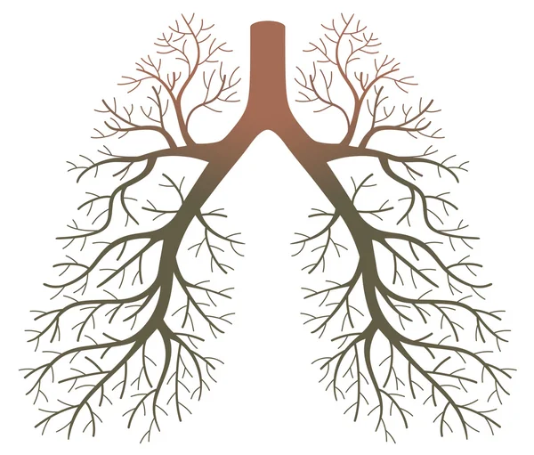 Pacientes pulmonares — Archivo Imágenes Vectoriales