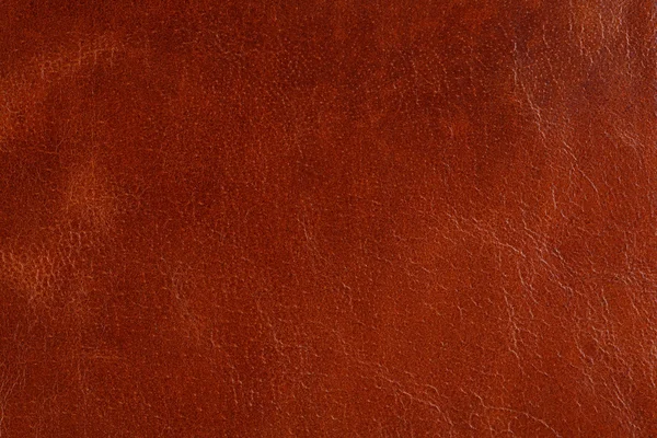 Background with texture of leather — Stock Photo, Image