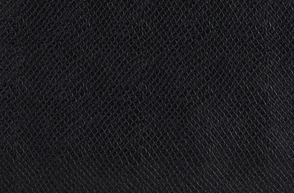 yılan derisi dokusunu