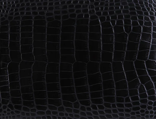 Texture of a crocodile leather — Stock Photo, Image