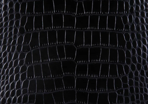 Texture d'un cuir de crocodile Image En Vente