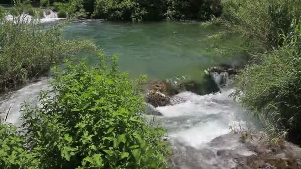 Waterfall in national park Krka, Croatia — Stock Video