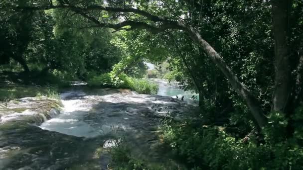 Waterfall in national park Krka, Croatia — Stock Video