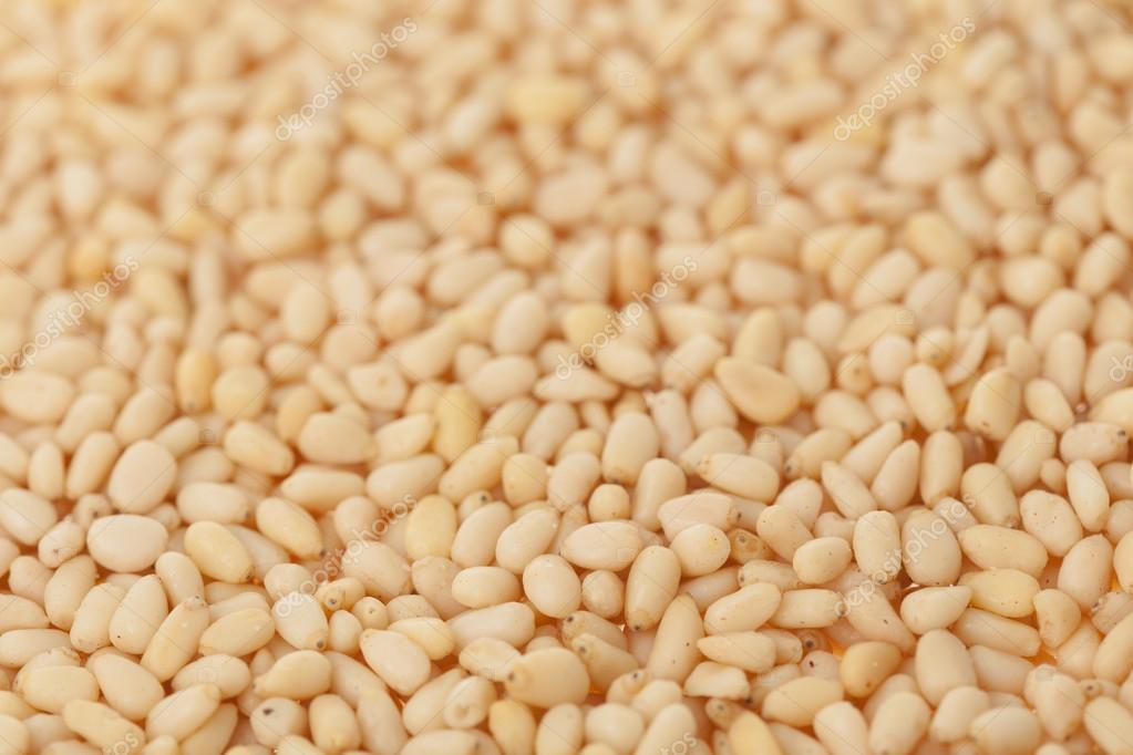 cedar nuts