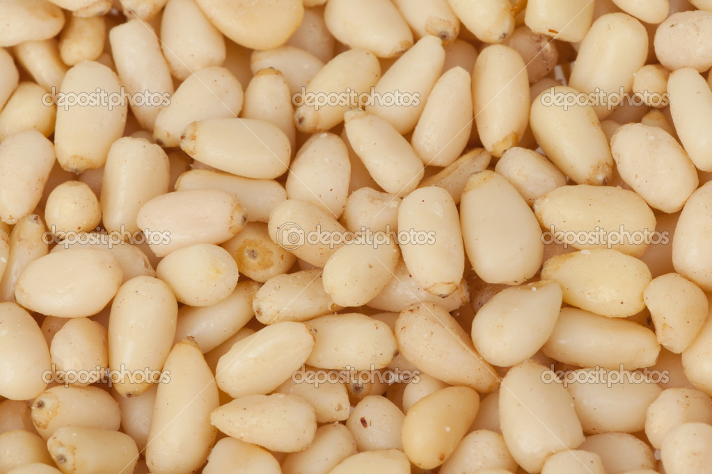 cedar nuts