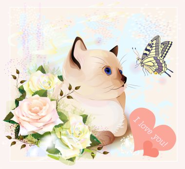 Sevgililer günü tebrik kartı ile yavru kedi, kelebek ve güller