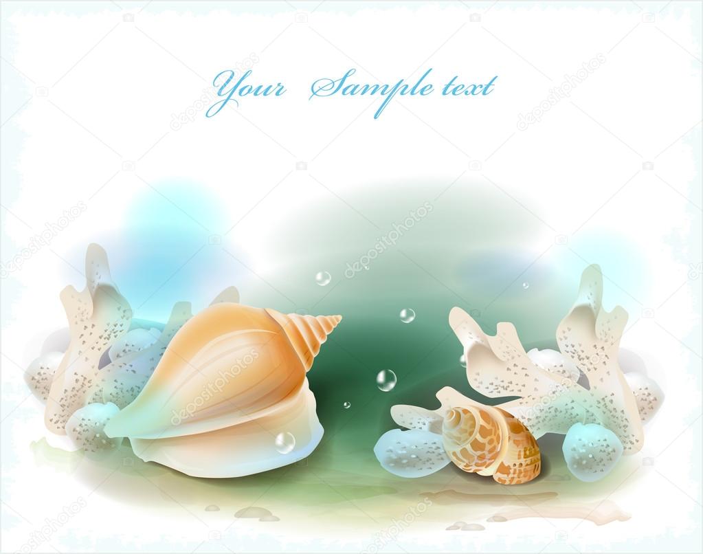 Background with seashells and corals