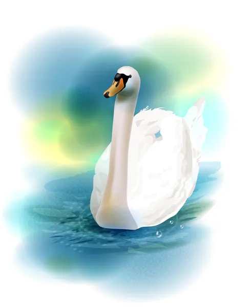 Illustration of the white swan — Stock Vector
