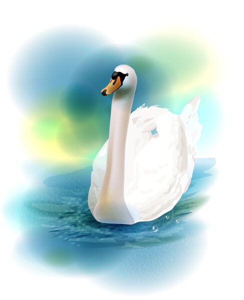Illustration of the white swan