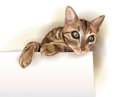 kedi ile bayrak çekilmiş örnek ver. suluboya styl